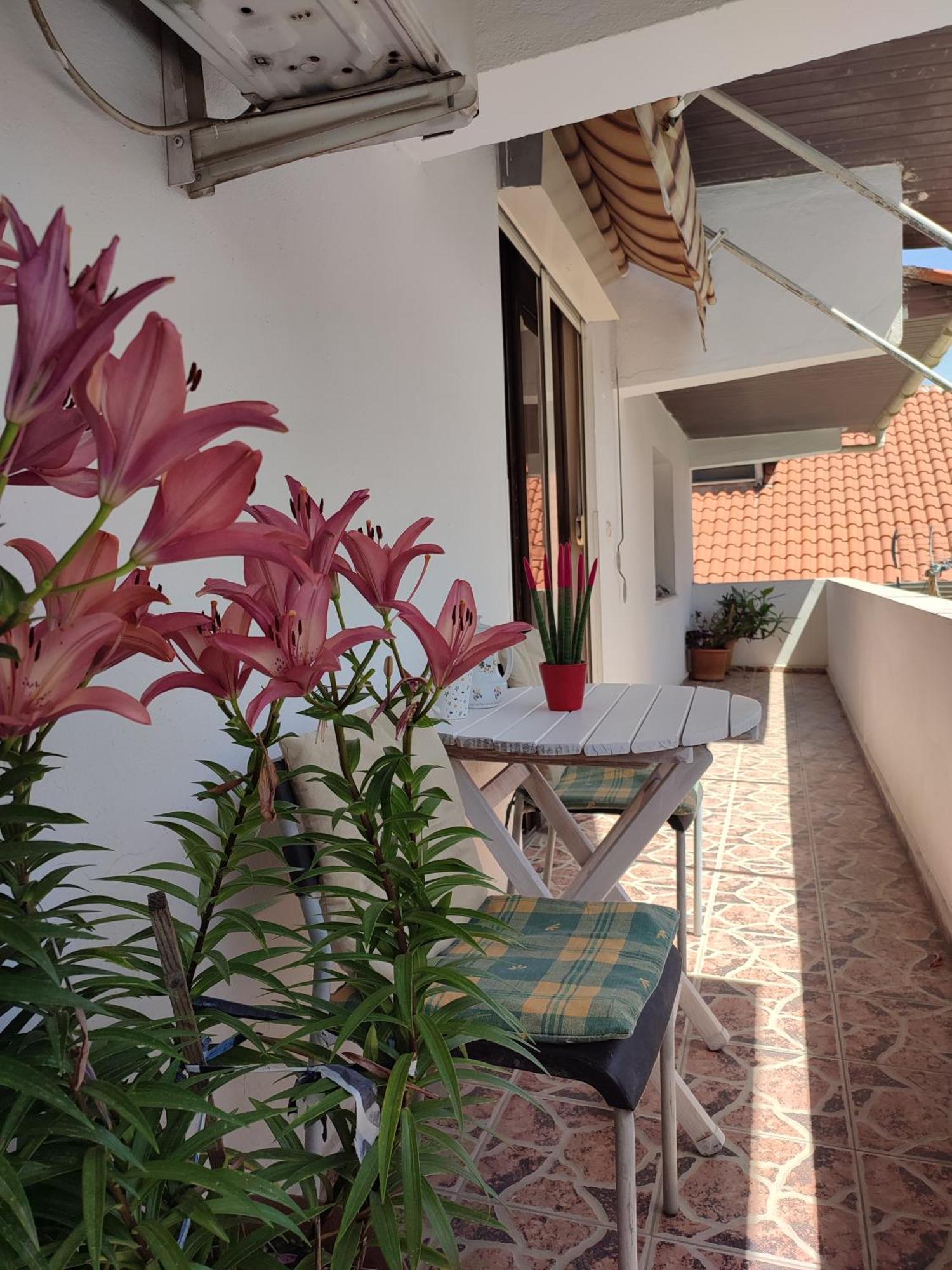 Rooms Xani Tirana Zewnętrze zdjęcie